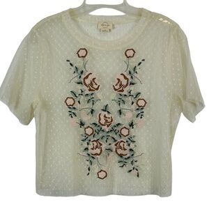 Lace Mesh Swiss Sot Feminine Rose Embroidered Fairy Whimsical Crop Top Size M 🔥